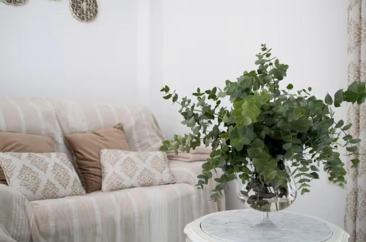 Apartamento Cataleya Ronda Dış mekan fotoğraf